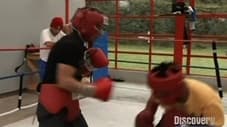 Mexico (Boxing)