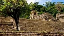 Palenque: Metropolis of the Maya