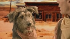 Movie Star Dogs & Hounds and Horses