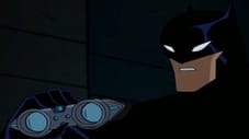 The Batman Justice League Profiles