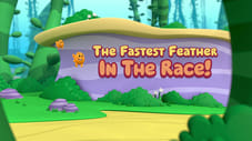 The Fastest Feather in the Race!