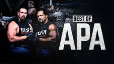 The Best of WWE: Best of the APA