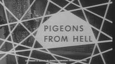 Pigeons From Hell