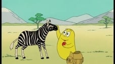 Savana - Lion & Zebra