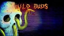 Wild Buds