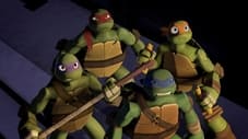 Der Aufstieg der Turtles – Teil 2