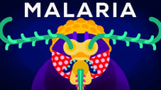 Genetic Engineering and Diseases — Gene Drive & Malaria
