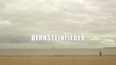 Bernsteinfieber