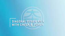 The Master Scroll 19 - Diagonal Punch Kick with Check and Punch