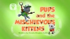 Pups and the Mischievous Kittens