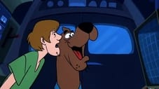 Scooby, der Lockvogel