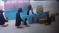Pingu en la feria
