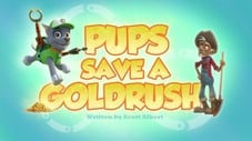 Pups Save a Goldrush