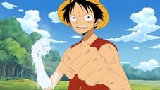 Duel Between Rubber and Ice! Luffy vs. Aokiji!
