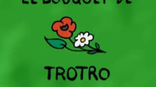 Trotro and bouquet