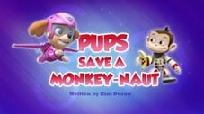 I cuccioli salvano la scimmia astronauta