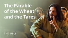 Matthew 13 | Parables of Jesus: The Parable of the Wheat and the Tares