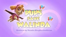 Pups Save Walinda