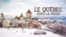 Le Québec sous la neige