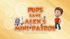 Pieski ratują minipatrol Alexa