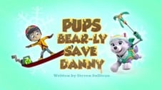 I cuccioli salvano Danny da un orso