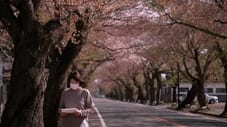 葉子の桜