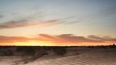 Sahara: Life on the Edge
