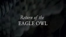 Return Of The Eagle Owl