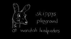 Skippy's Playground at Waratah Headquarters
