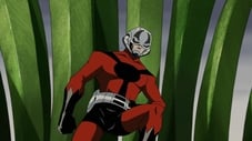 Ant-man - człowiek-mrówka