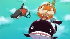 ¡El palacio Ryugu! Los lleva el tiburón al que salvaron.