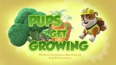 Pups Get Growing