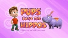 Os filhotes salvam hipopótamos
