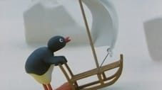 Pingu issurfar