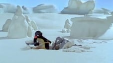 Pingu Digs a Hole