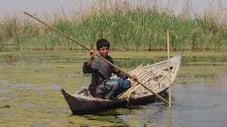 Miracle in the Marshes of Iraq