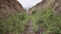 Congo-Océan, un chemin de fer et de sang