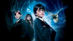 Harry Potter in kamen modrosti
