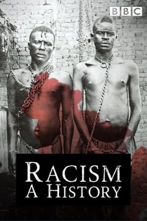 La Historia del Racismo
