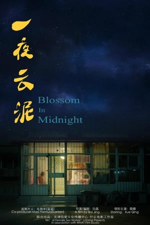 Blossom in Midnight