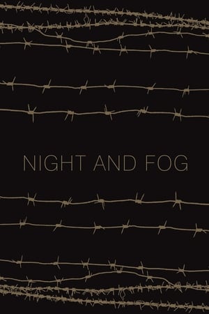 夜與霧