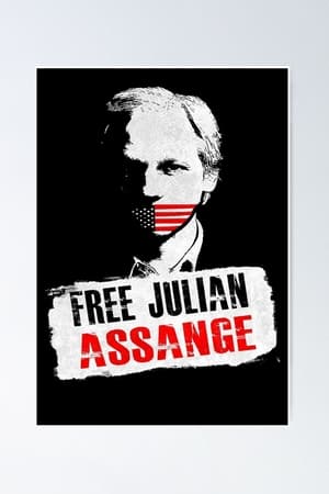 Julian Assange: Chronik einer Spionageaffäre