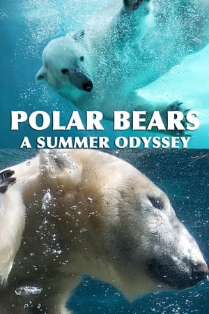 北极熊：夏季奥德赛