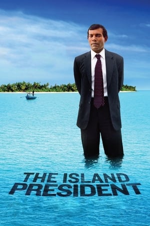 岛国总统