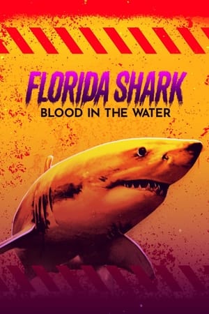 Florida Shark: Blood in the Water
