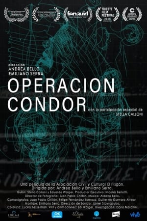 Condor Operation