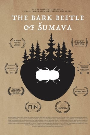 The Bark Beetle of Šumava