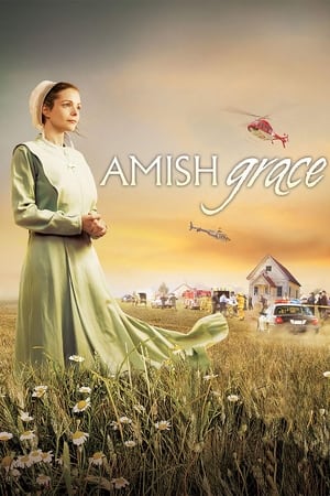 Amish Grace - Wie auch wir vergeben
