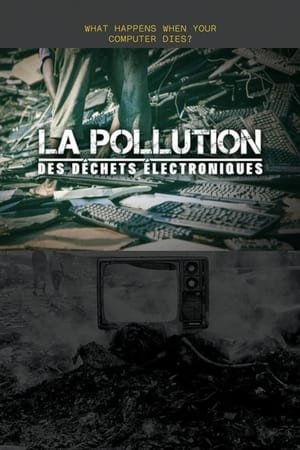 La Pollution des déchets électroniques