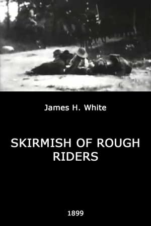 Skirmish of Rough Riders